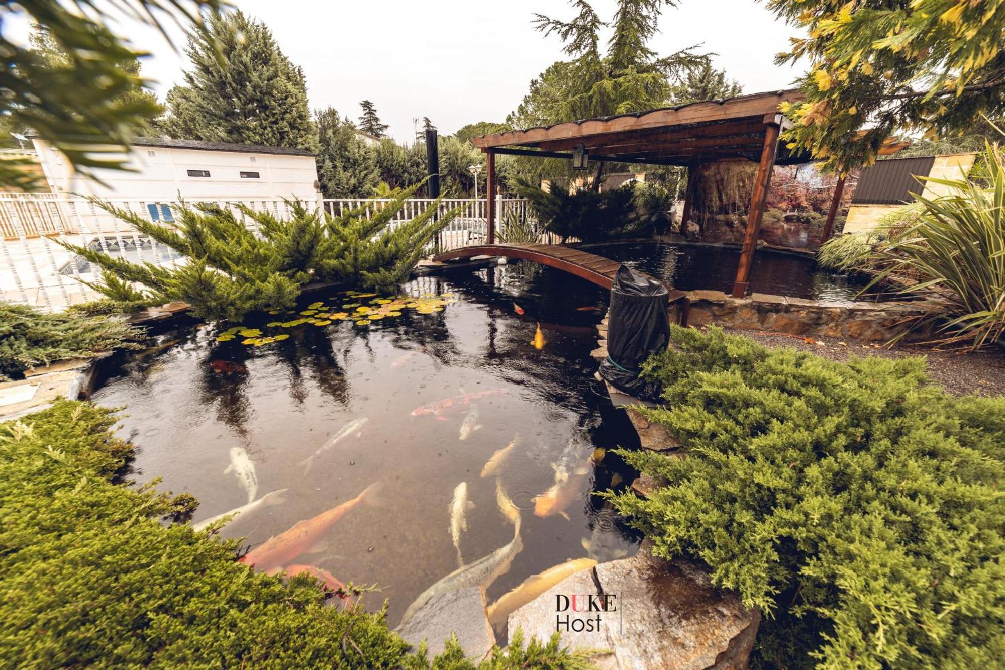 Villa Nuevo Baztán エクステリア 写真